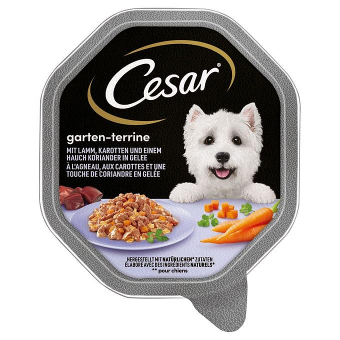 Megapack Cesar kuipjes 28 x 150 g - Lam, wortelen en koriander in gelei