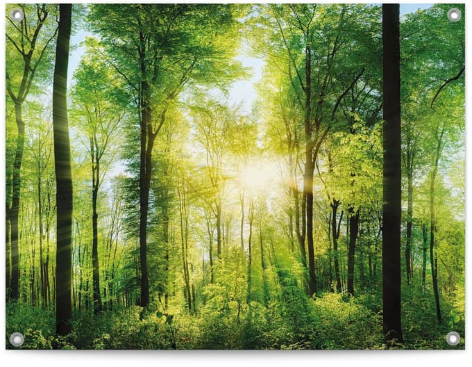 Tuinposter Zomer bos - 60 x 80 - Canvas - REINDERS