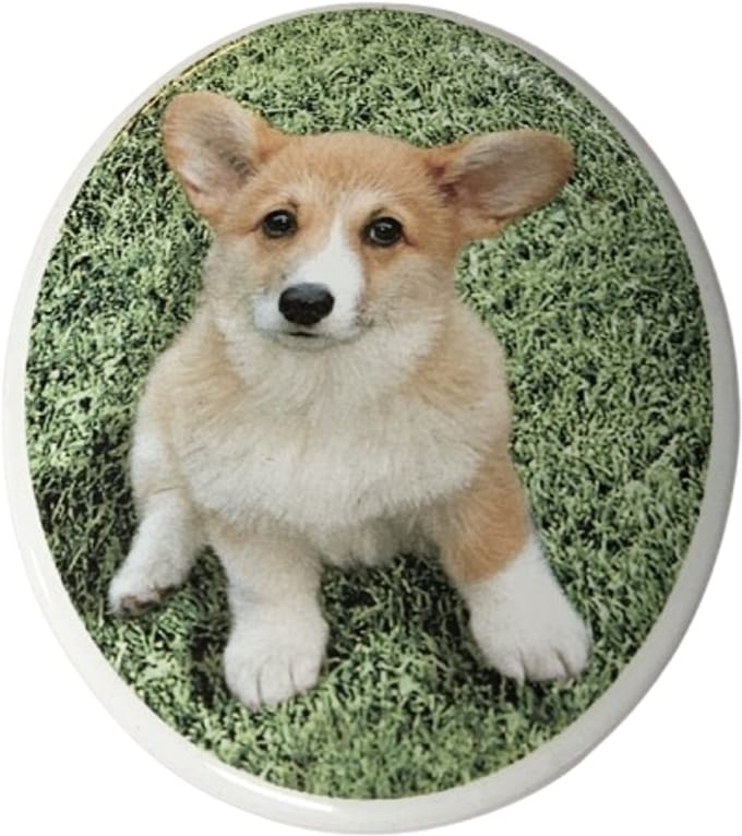 Tegeltje Corgi pup