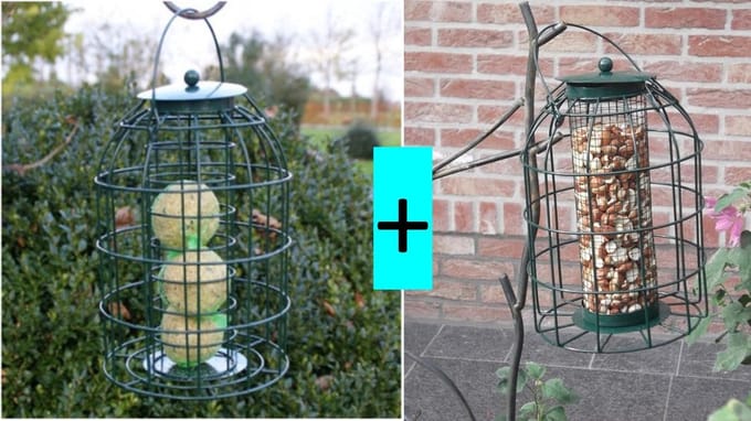 Bird-Feeder - Pindasilo & Vetbolsilo met Beschermkooi - Groen
