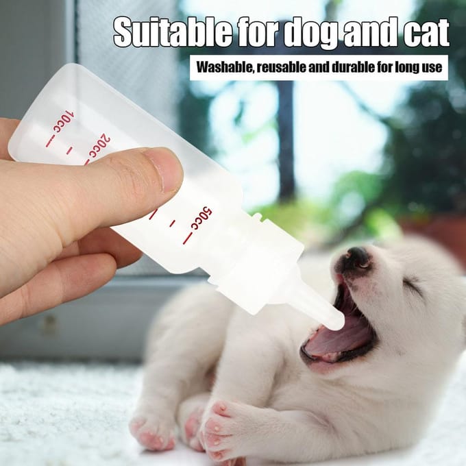 3 stuks/ Set Silicone Transparant Duurzaam Melkfles Voeder voor Huisdier Hond Kat 50ml white
