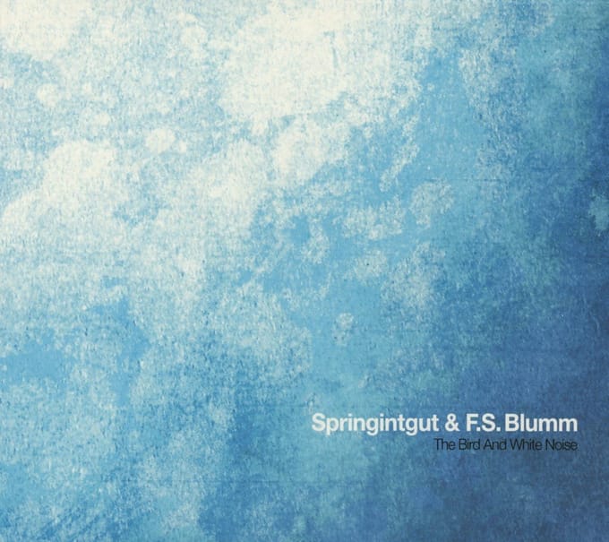 Springintgut & F.S.Blumm - The Bird And White Noise (CD)