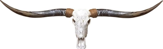 Longhorn skull echt gegraveerd flower