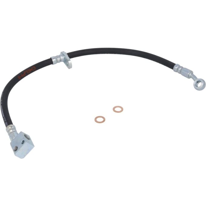 Remslang DELPHI LH6491