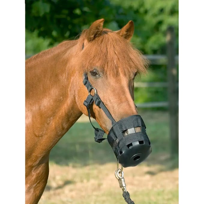 Polyamide paarden muilkorf met rubber en riemen USG