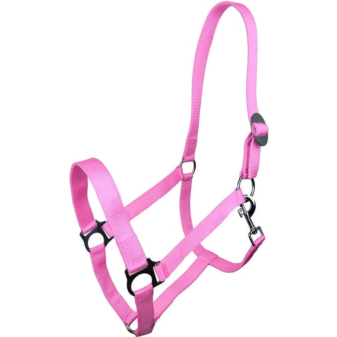 Halster voor paarden York Harmony