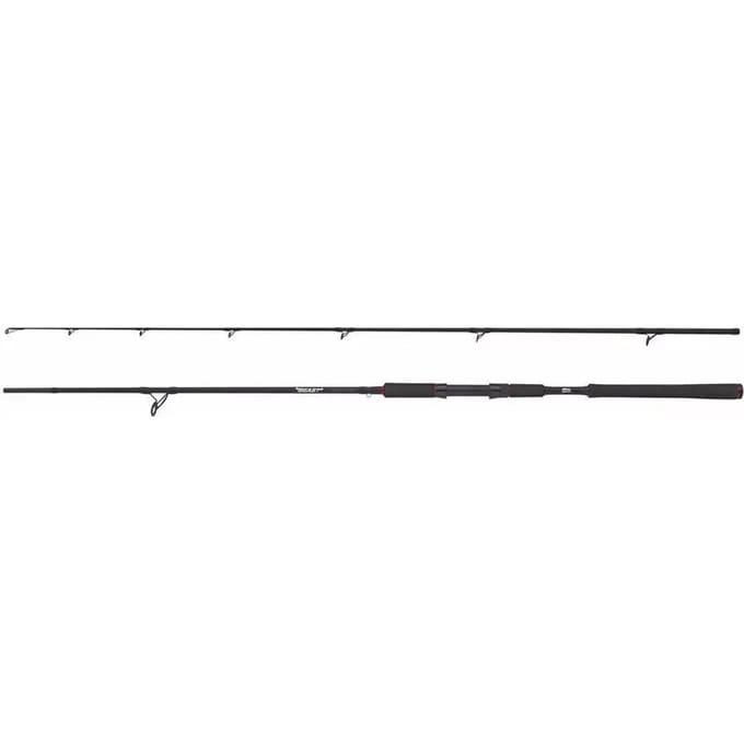 Spinhengel Abu Garcia Beast Pike 802H 40-90g