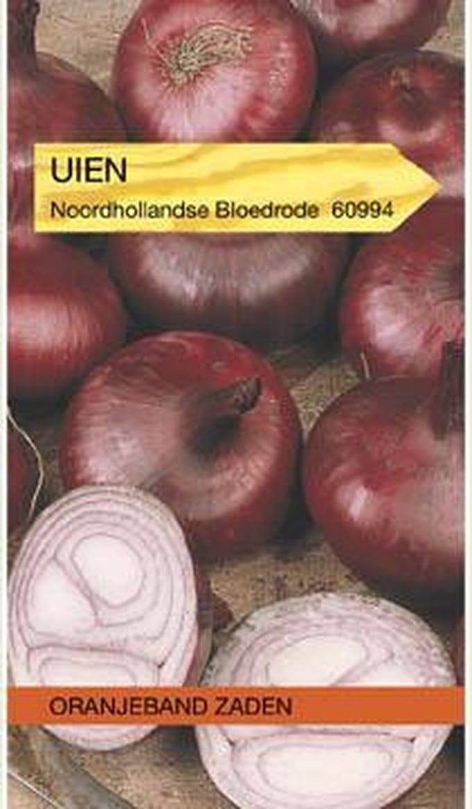 Ui Noordhollandse Bloedrode