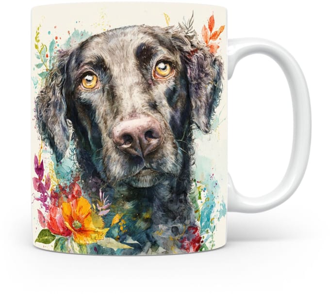 Beker Krulvacht Retriever