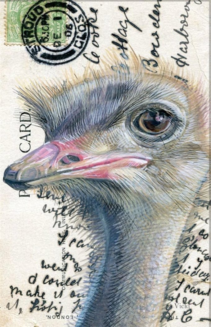 Dubbele kaart met env. Struisvogel 11,5x17,5cm