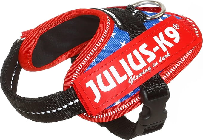 Julius-K9 IDC®Powertuig, 3XS - Baby1, Ameri Canis