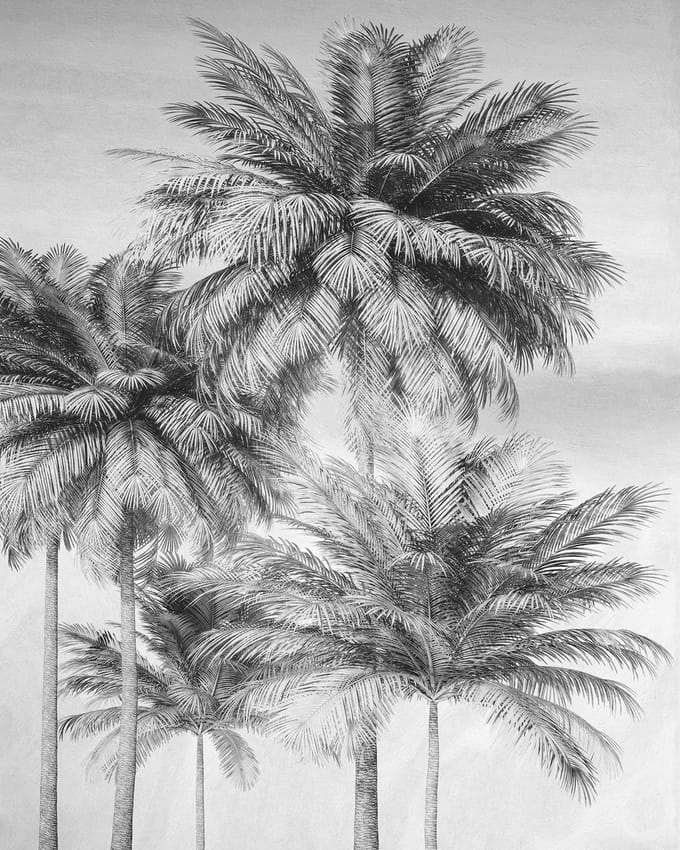 Coco Fotobehang - Grijs - 2,50m X 200cm