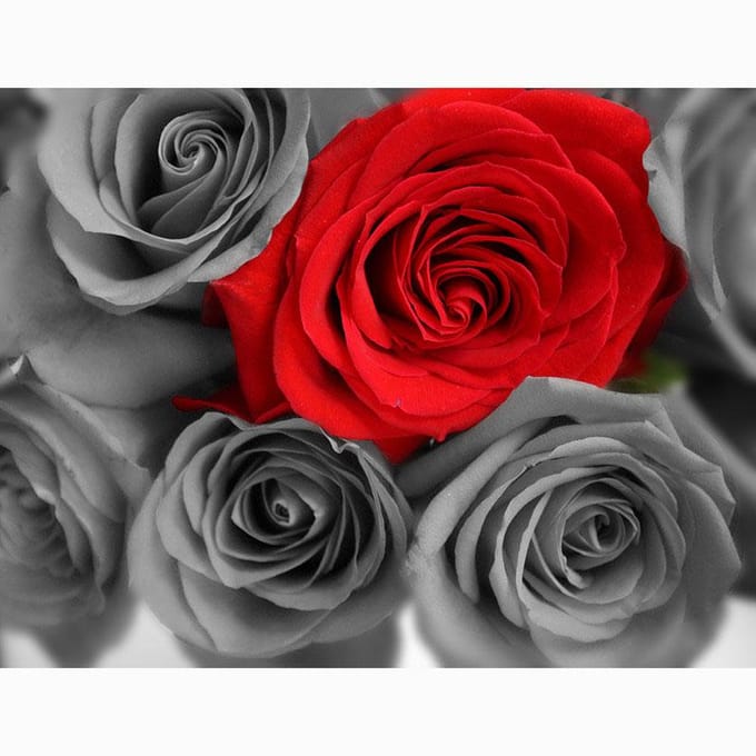 Broderie Diamant Point Rond Complet Rose 5D DIY Peinture Diamant Point de Croix Strass 20X30CM red