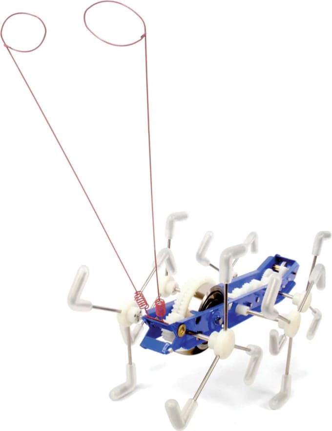 Kikkerand Mxykikker Wind Up - Critter - Speelgoedrobot - Uniek cadeau