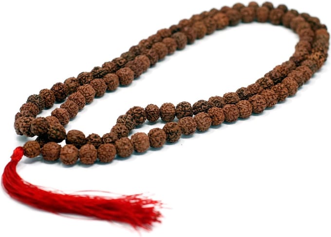 108 Rudraksha Mala - Bruin