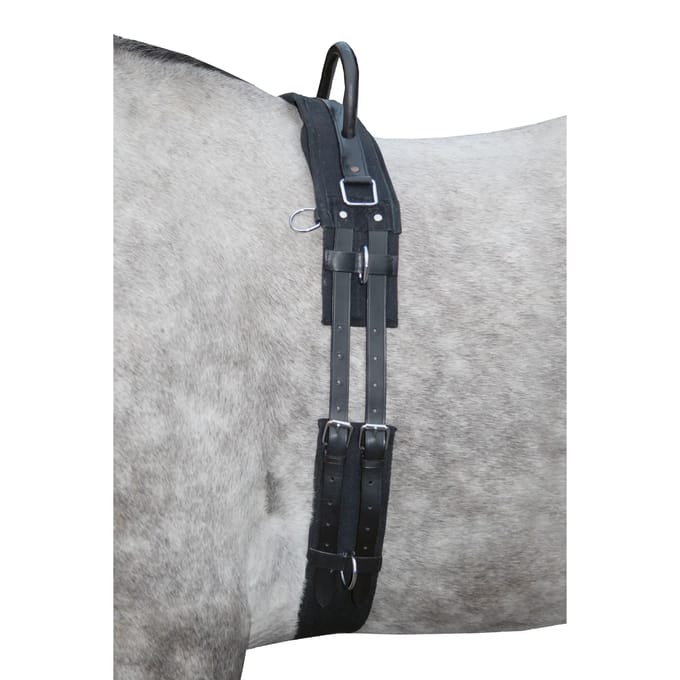Surfaix voor paard met handvat HKM