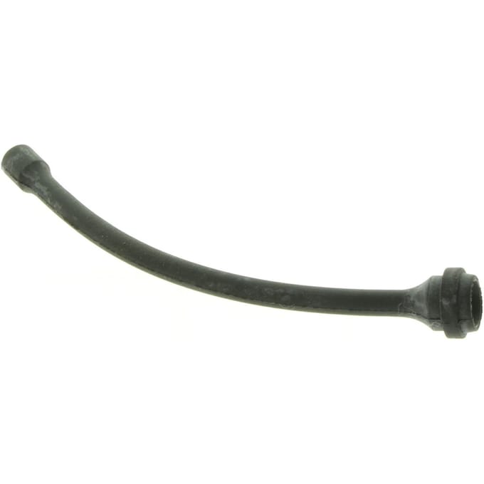 Olieslang