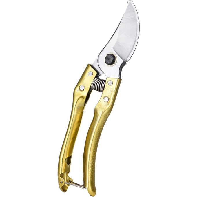 Snoeischaar met stalen blad en ergonomische handgrepen Tuinieren Snoeischaar Bonsai goud