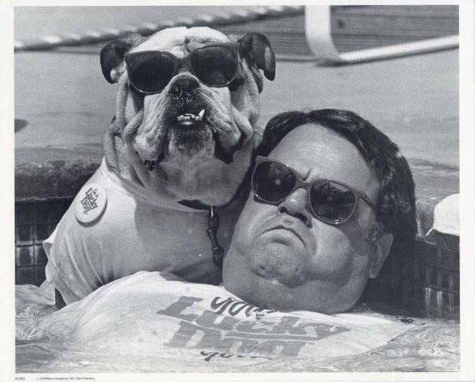 Mini zwart-wit poster - Chilling Man and Dog  - Bettmann Newsphotos - 24x30 cm