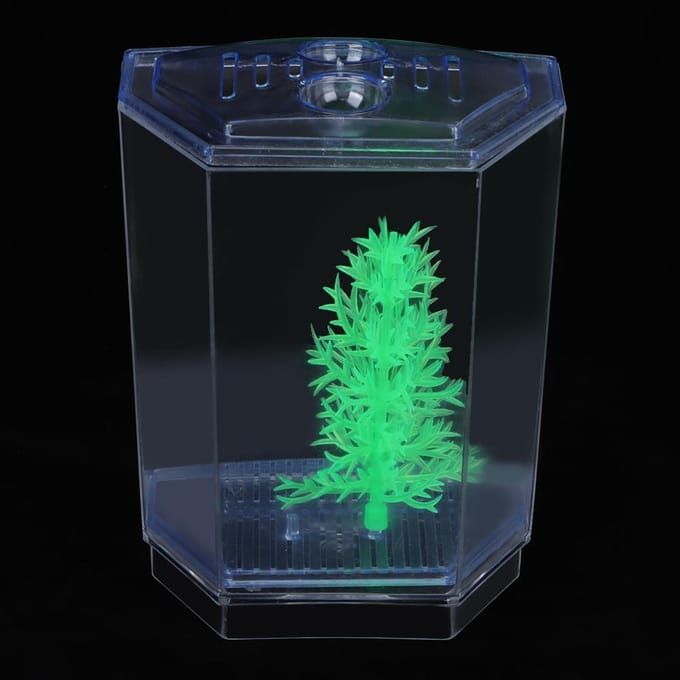 Mini Vis Tank Aquarium Transparant Waterplanten Kweekbak Broedbak Incubator(single) white