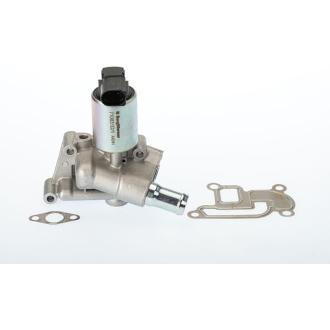 Borg Warner EGR-klep WAHLER 710831D
