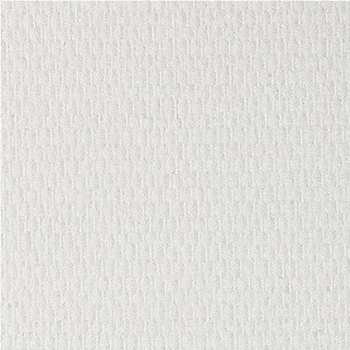 Dutch Wallcoverings - Glasweefsel - voorgelatext fijn 25 m