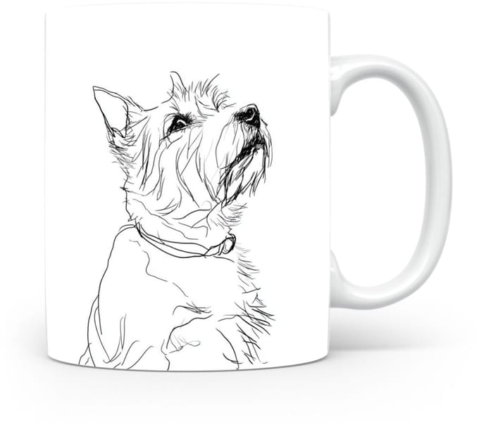 Beker Norwich Terrier