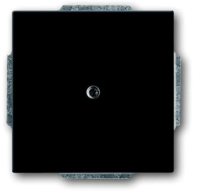 ABB Busch-Jaeger toekomstig Bedieningselement/Centrale Plaat Schakelmateriaal - 2CKA001710A3612 - E2H8C