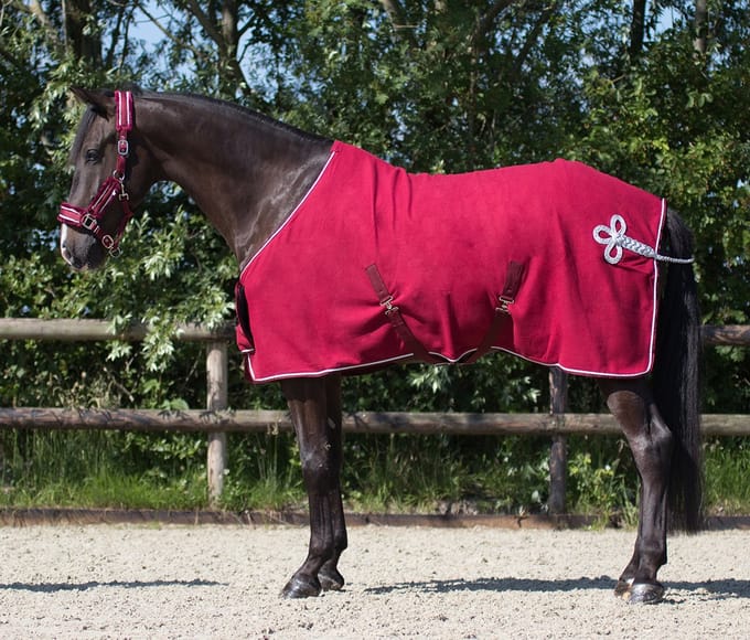 Qhp Zweetdeken Ornament Donkerrood - 115/155