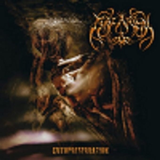 Thalarion - Cryporeservation (CD)