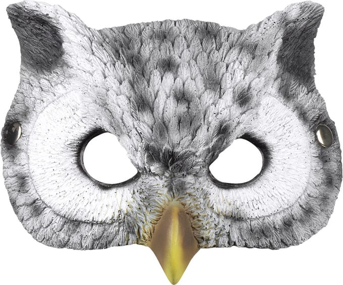 Boland - Foam masker Uil - Kinderen en volwassenen - Uil - Dieren