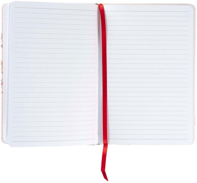 Bruynzeel notitieboek a5 80 g/m² 160 pagina's | Krimp a 1 stuk