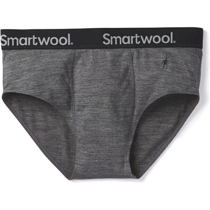 Smartwool Merino Sport 150 Brief Slips Grijs M Man