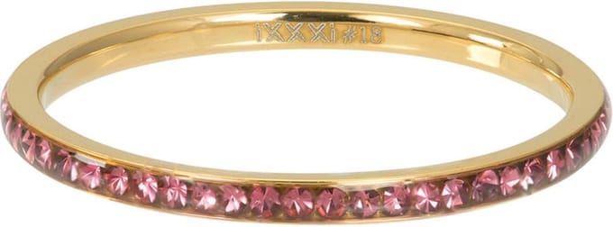 Zirconia Pink - iXXXi - Vulring 2 mm - Goud