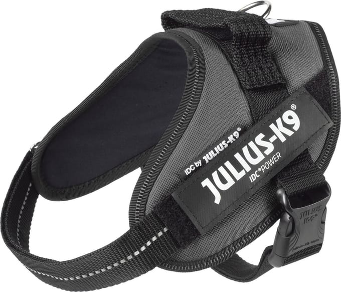 Julius-K9 IDC Powertuig - Hondentuig - S - Mini - Antraciet