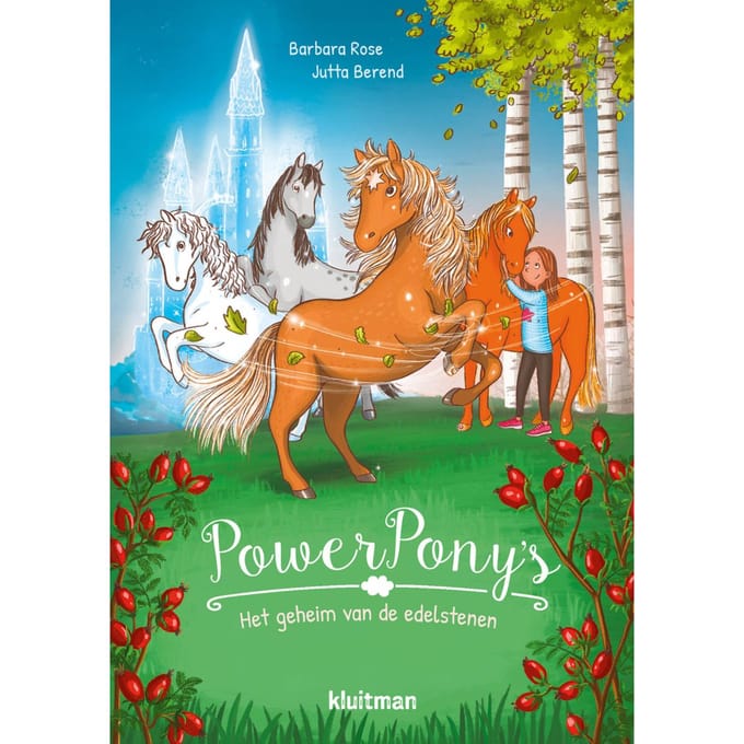 Het Geheim Van De Edelstenen - Power Pony's - Barbara Rose