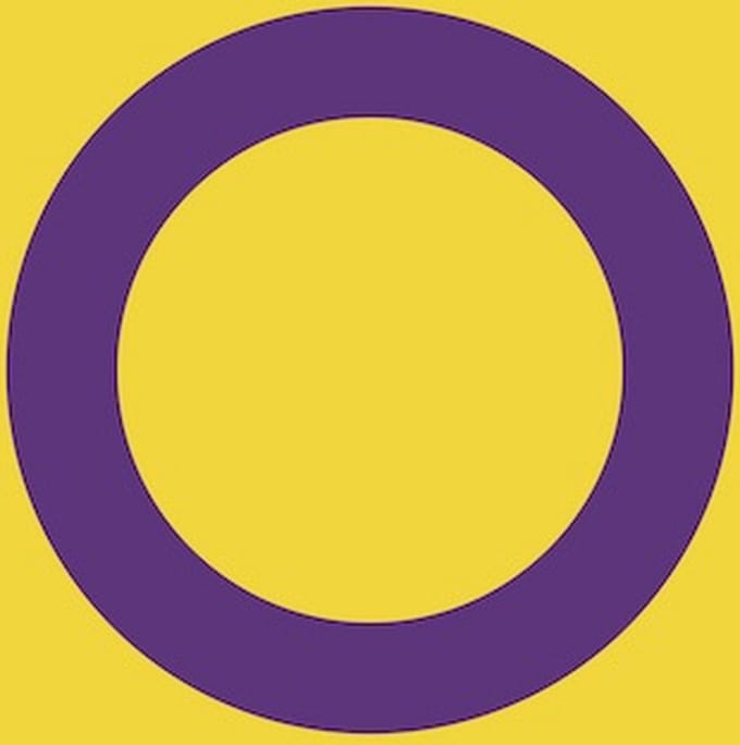 Vlag Intersekse 150x225cm
