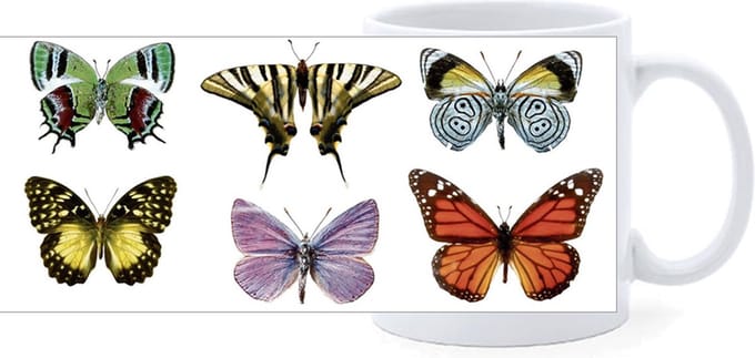 Beker - Diverse Vlinders - Verzameling