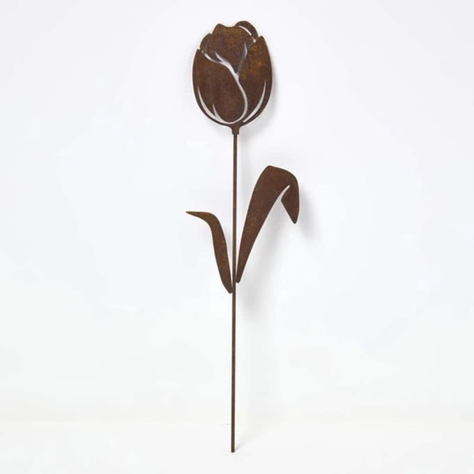 Cortenstalen tulp,tuinsteker