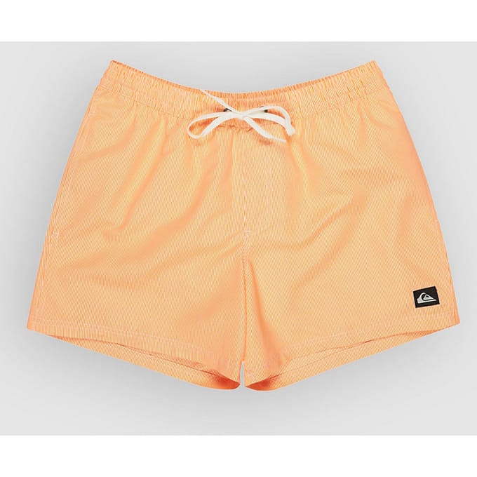Zwemshort Quiksilver Everyday Deluxe Volley 15