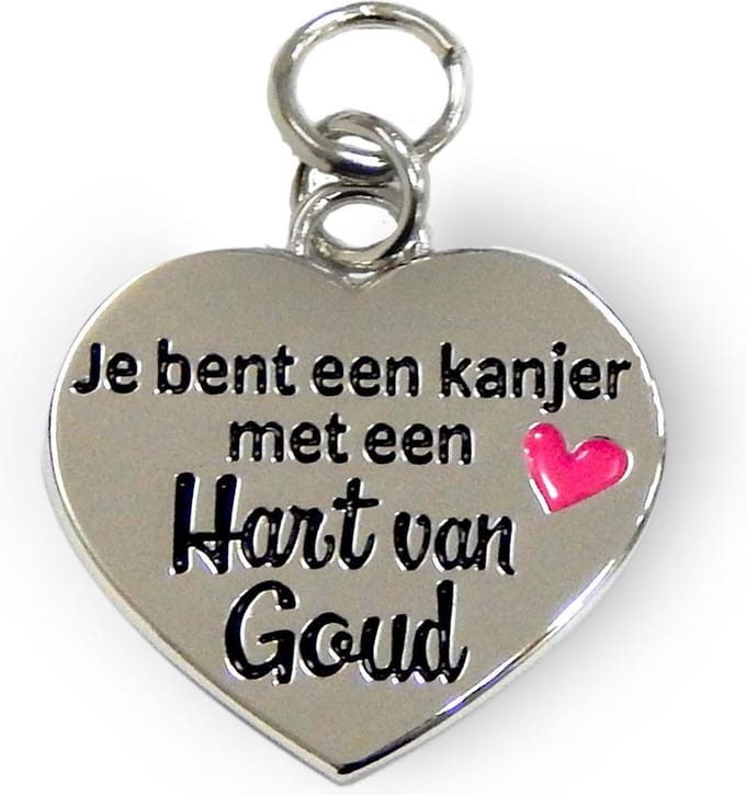 Bedeltje - Je bent een kanjer met een hart van goud - Charms for you