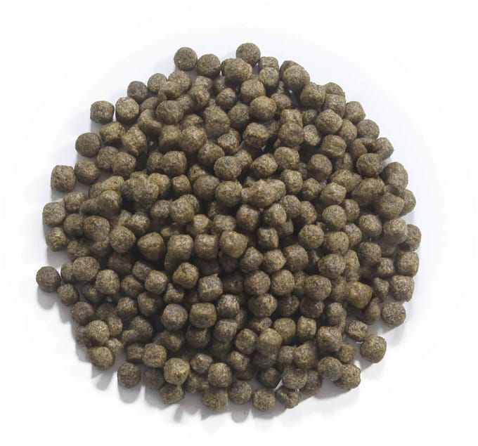 Coppens Koivoer Staple 3 mm 15 kg
