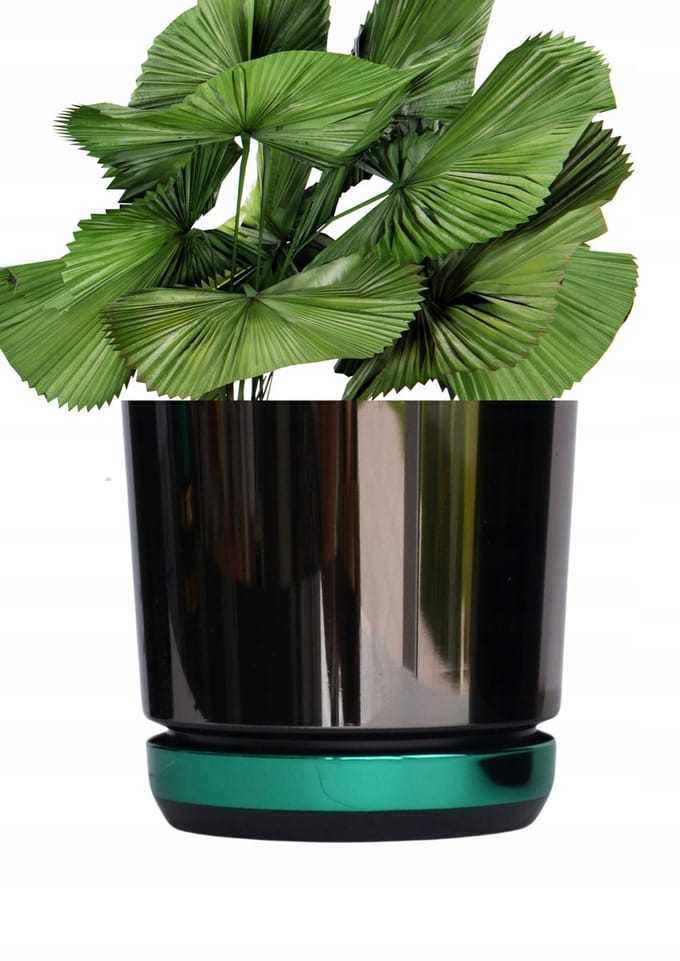 Moderne Duopot Zwart/Groen 14cm met Schotel - Stijlvol & Duurzaam