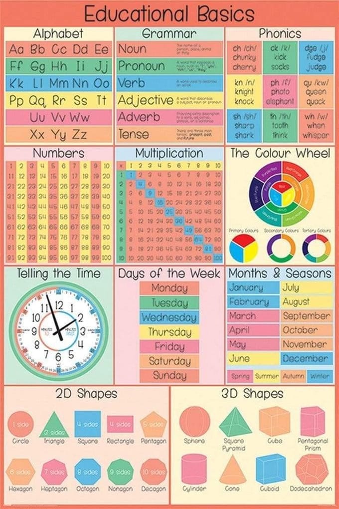 Educational Basics - Maxi Poster - 61 x 96.5 cm