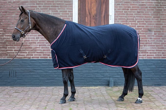 MASTER Fleece Showdeken Blauw-145-195