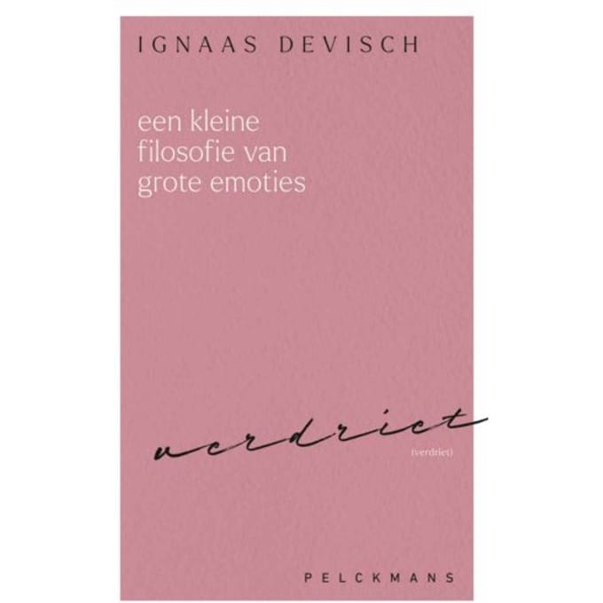 Een Kleine Filosofie Van Grote Emoties: Verdriet - Ignaas Devisch