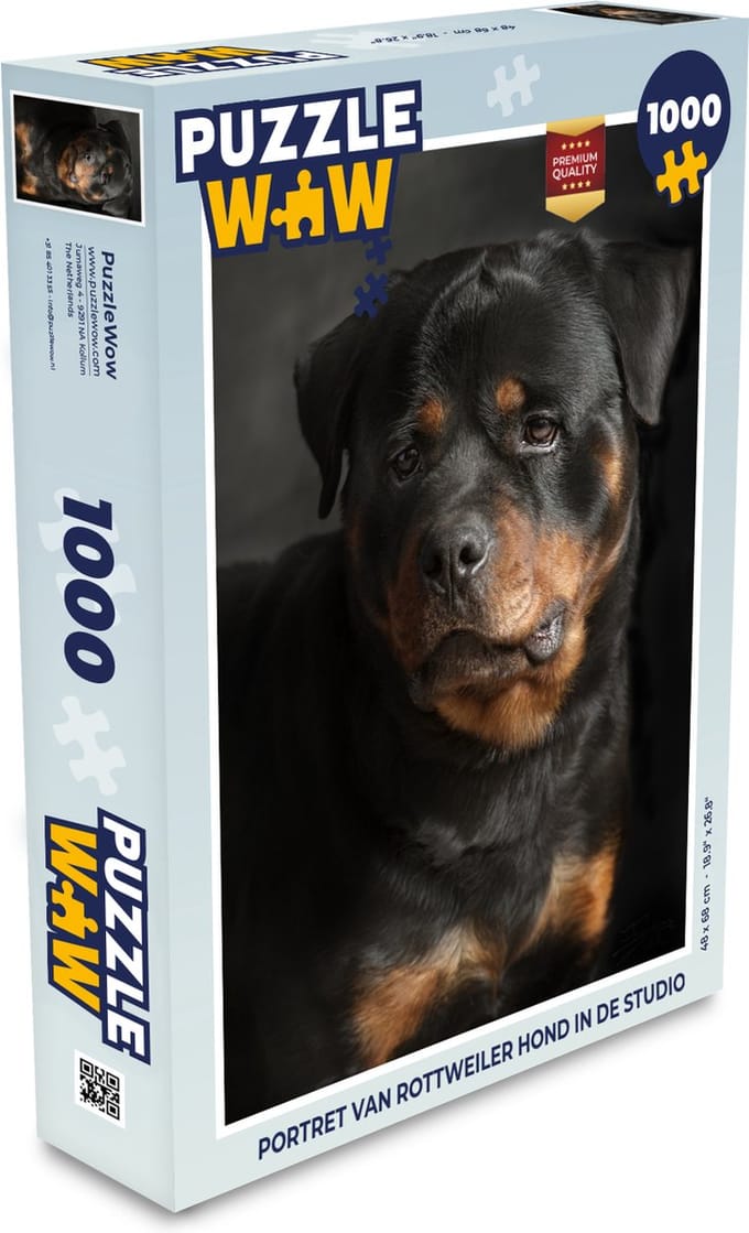 Puzzel Portret van Rottweiler hond in de studio - Legpuzzel - Puzzel 1000 stukjes volwassenen