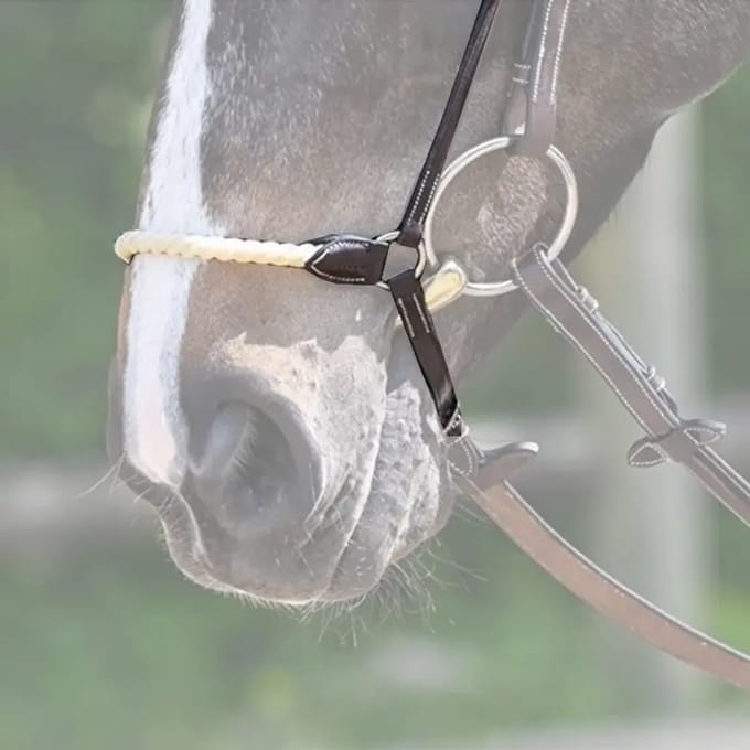 Muserolle paard met touw Jump'In Allemande