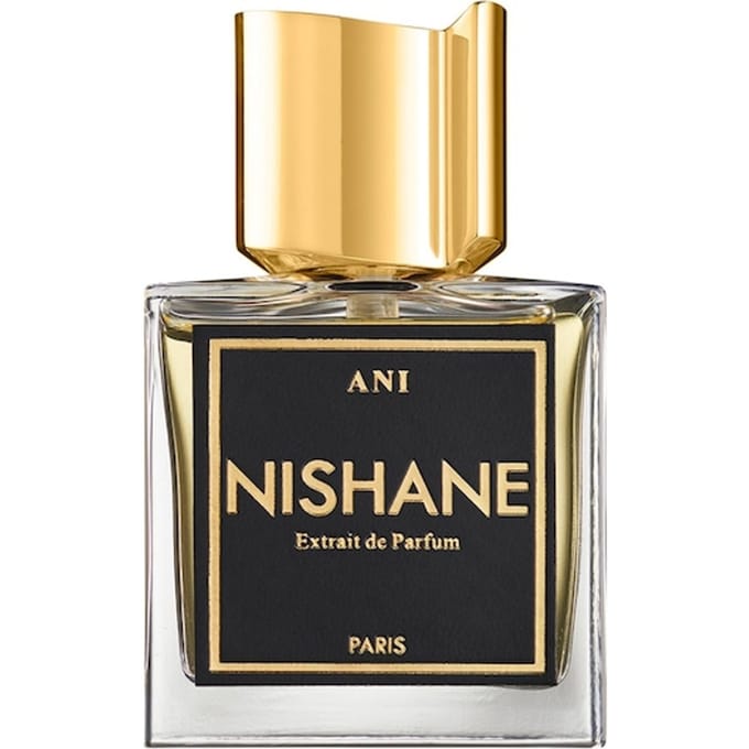 NISHANE No Boundaries Extrait de Parfum Spray Herenparfum Dames 100 ml