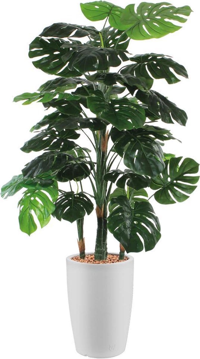 HTT - Kunstplant Monstera in Genesis rond wit H160 cm